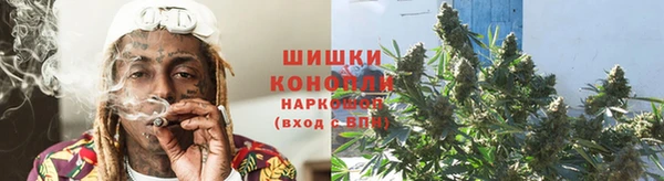дмт Новодвинск