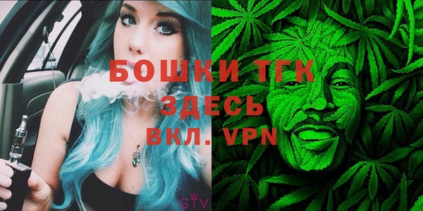 ALPHA PVP Новозыбков