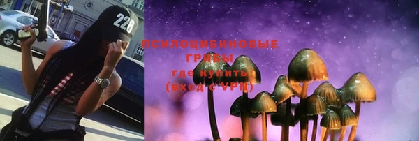 дмт Новодвинск