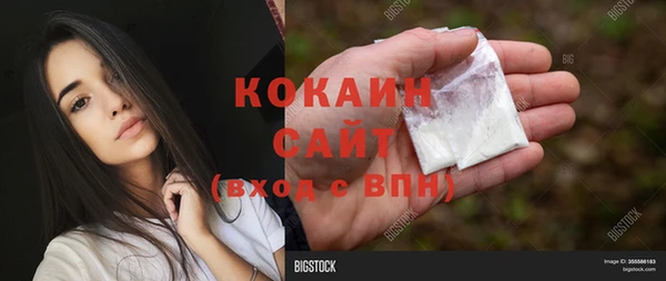 дмт Новодвинск