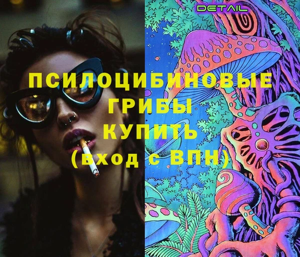 ALPHA PVP Новозыбков