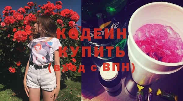 дмт Новодвинск