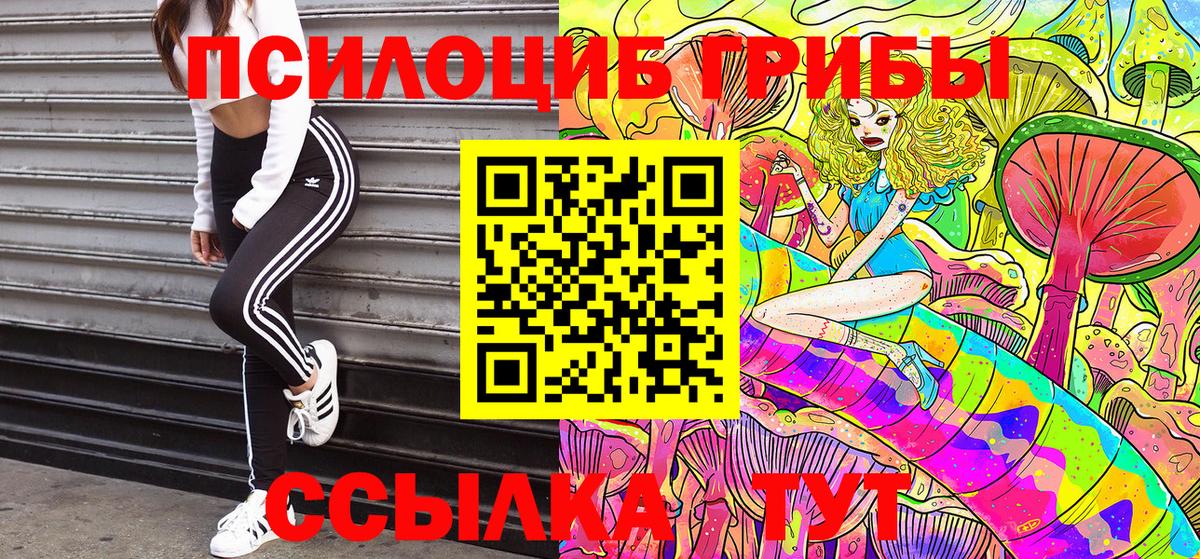Партизанск  Галлюциногенные грибы прущие грибы  Псилоцибиновые грибы Cubensis  Вход с VPN 